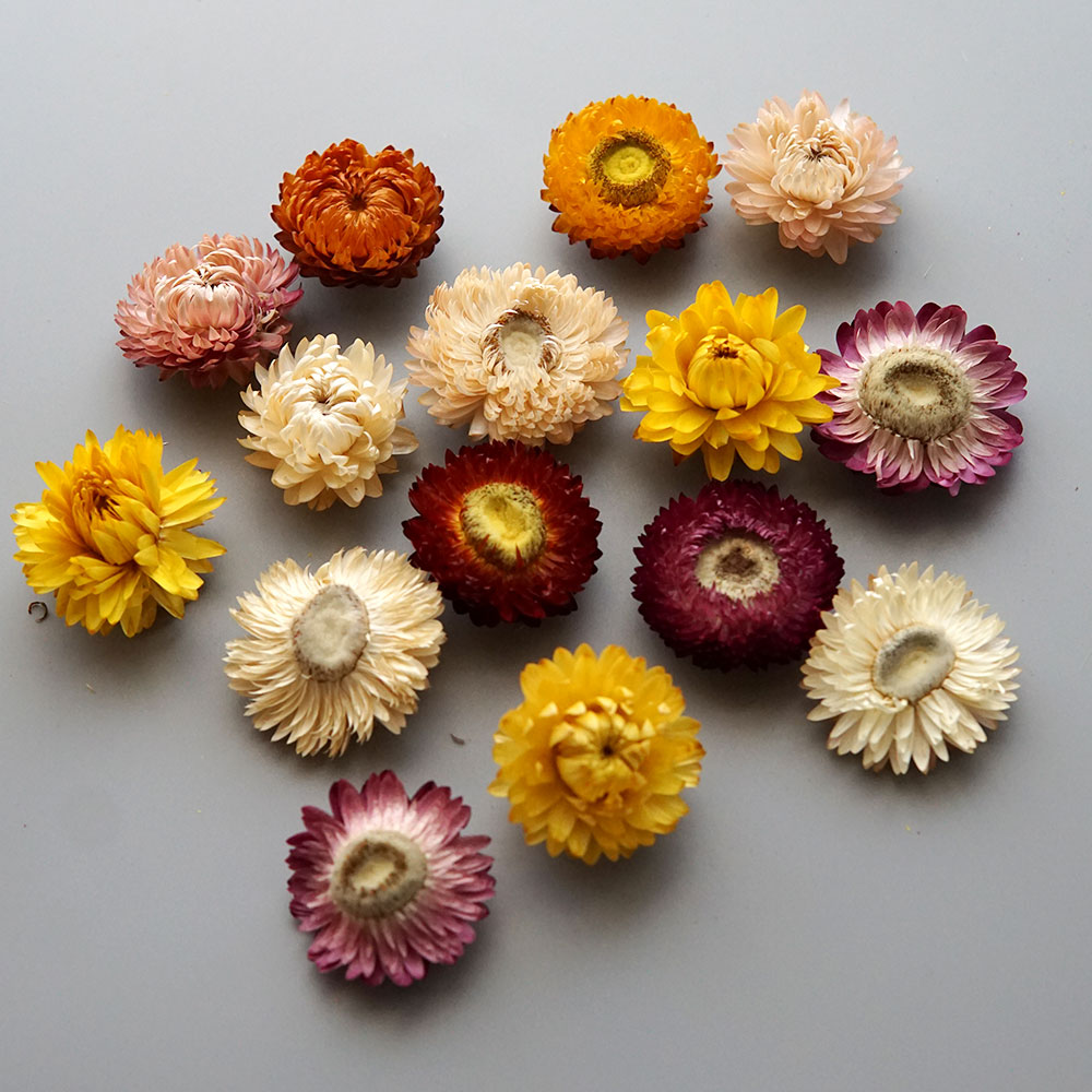 Natural Dried Colorful Chrysan - Baby Products review and price