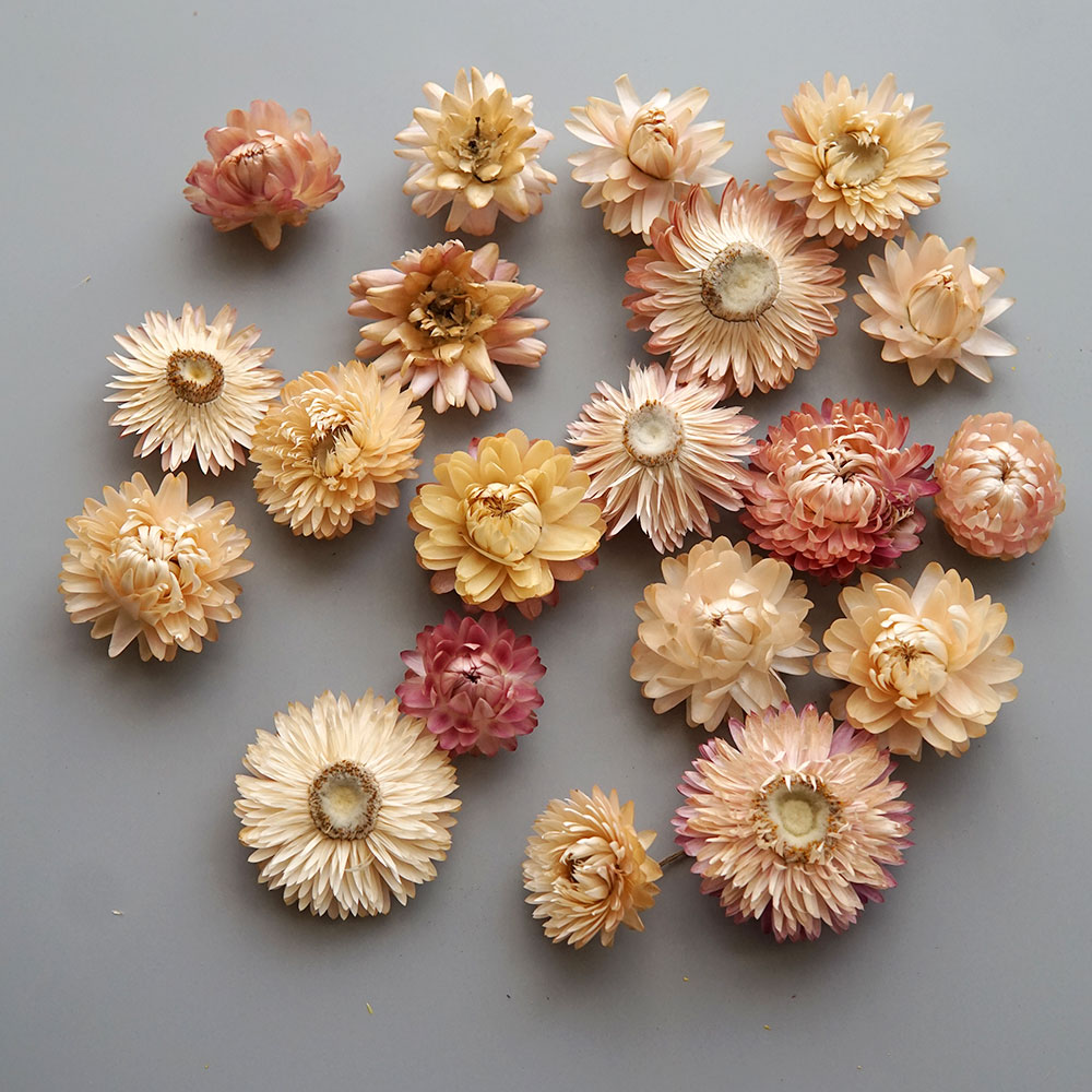 Natural Dried Colorful Chrysan - Baby Products review and price